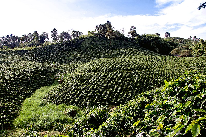 Eje Cafetero